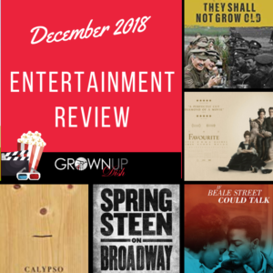 December 2018 entertainment review. Check out December's best and worst books, television and movies. Be sure to tell me your favorites in the comments. | www.grownupdish.com