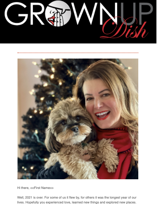 Grownup Dish 2020 In Review Newsletter