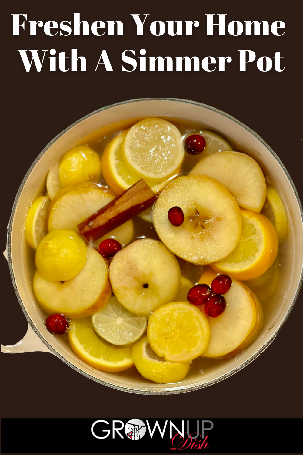 How To Freshen Your Home With A Simmer Pot (Stovetop Potpourri
