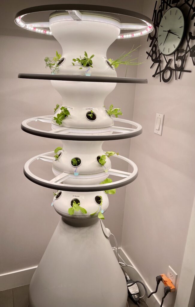 Lettuce Grow Farmstand review. Grow organic produce in your yard or home with this unique self watering product. Use my code to save $75. www.grownupdish.com