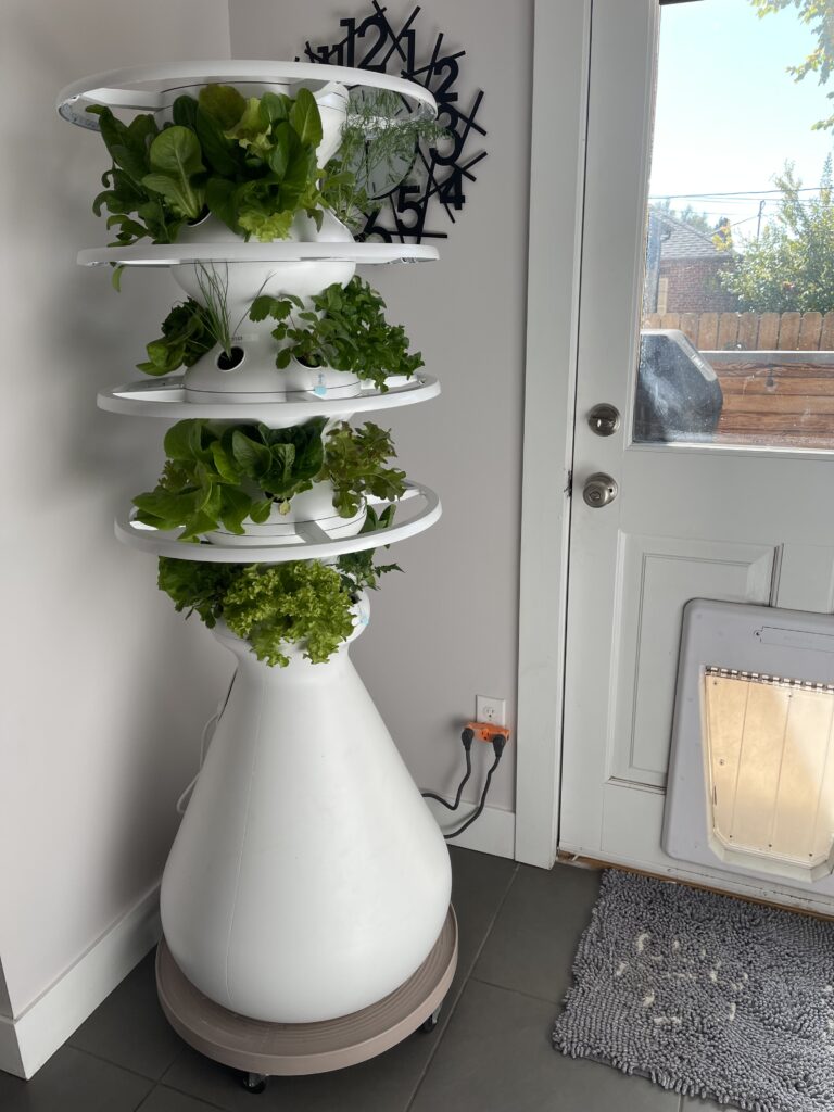 Lettuce Grow Farmstand review. Grow organic produce in your yard or home with this unique self watering product. Use my code to save $75. www.grownupdish.com