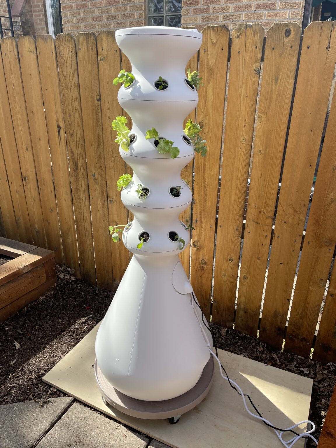 Tried It Lettuce Grow Farmstand Review & Discount • GrownUp Dish