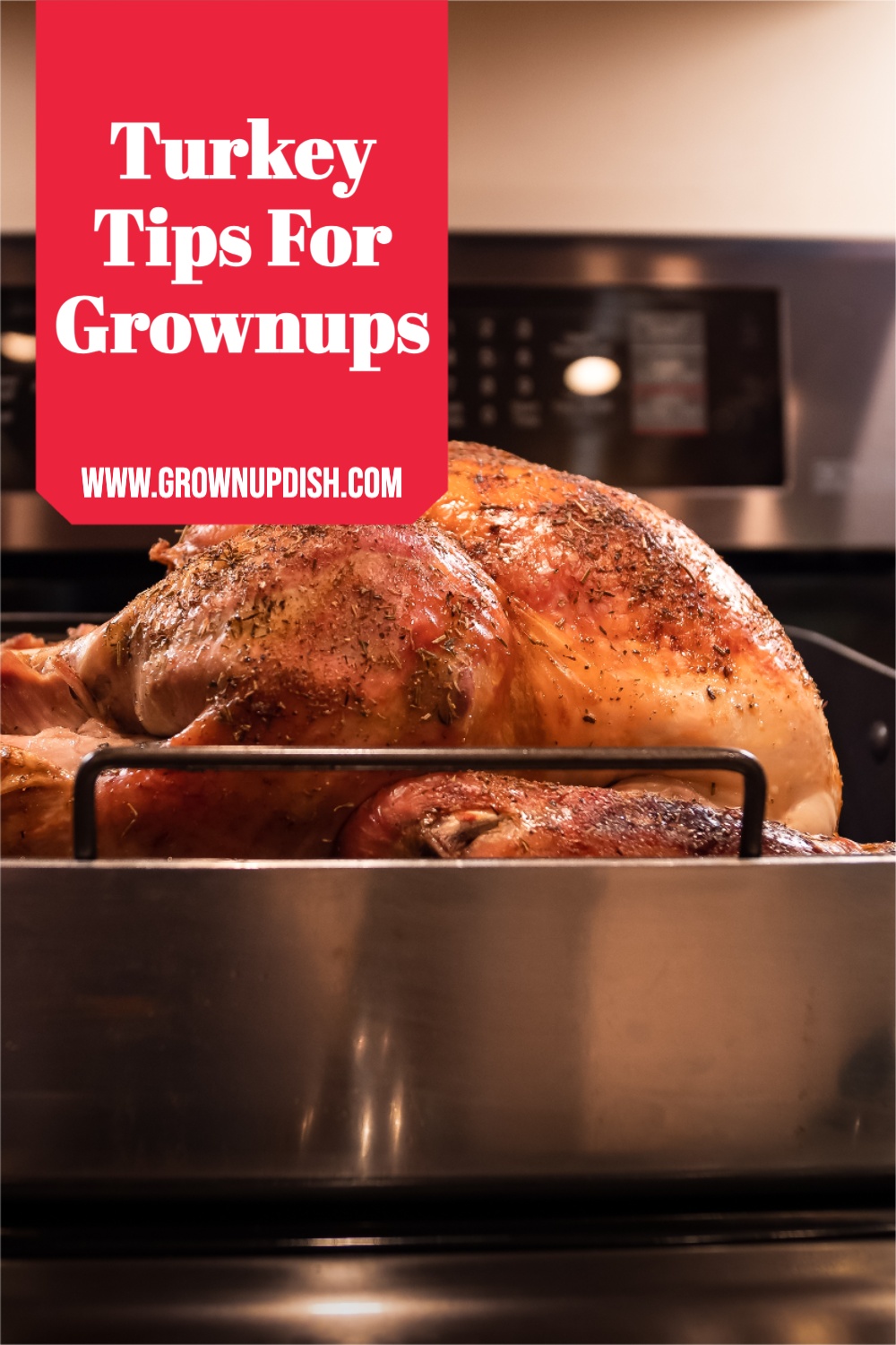 Turkey Tips for Grownups • GrownUp Dish